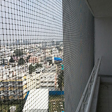 Bird Spikes In Nizamabad